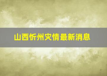 山西忻州灾情最新消息