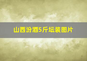 山西汾酒5斤坛装图片