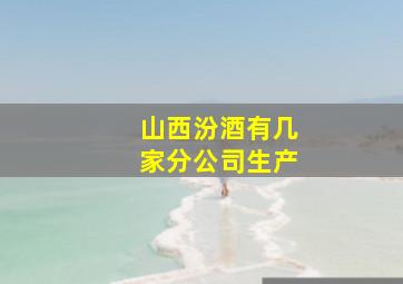 山西汾酒有几家分公司生产