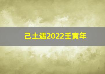 己土遇2022壬寅年