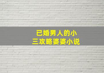 已婚男人的小三攻略婆婆小说