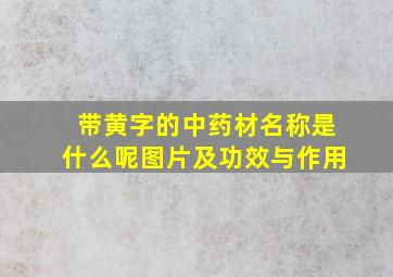 带黄字的中药材名称是什么呢图片及功效与作用