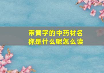 带黄字的中药材名称是什么呢怎么读