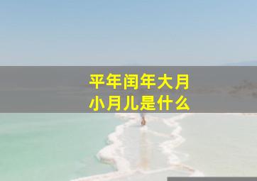 平年闰年大月小月儿是什么