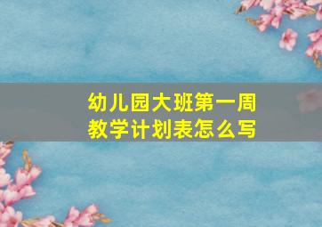 幼儿园大班第一周教学计划表怎么写