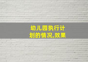 幼儿园执行计划的情况,效果