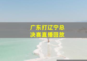 广东打辽宁总决赛直播回放