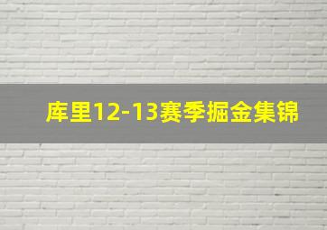 库里12-13赛季掘金集锦