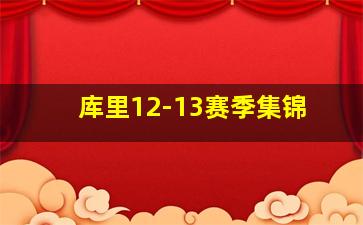 库里12-13赛季集锦