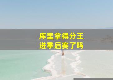 库里拿得分王进季后赛了吗