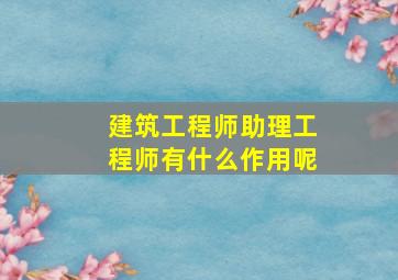 建筑工程师助理工程师有什么作用呢