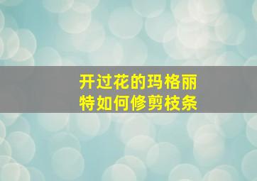 开过花的玛格丽特如何修剪枝条