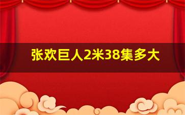 张欢巨人2米38集多大