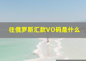 往俄罗斯汇款VO码是什么