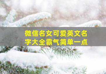 微信名女可爱英文名字大全霸气简单一点