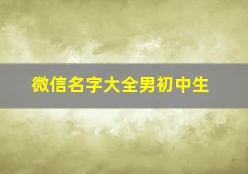 微信名字大全男初中生