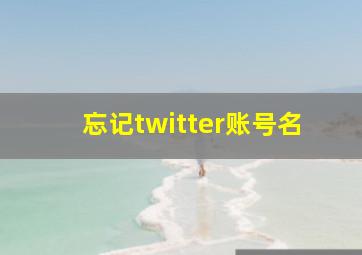 忘记twitter账号名