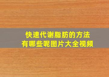 快速代谢脂肪的方法有哪些呢图片大全视频