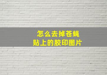 怎么去掉苍蝇贴上的胶印图片