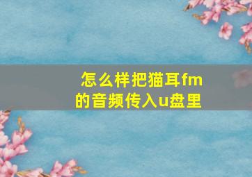 怎么样把猫耳fm的音频传入u盘里