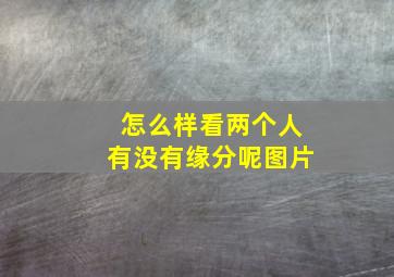 怎么样看两个人有没有缘分呢图片