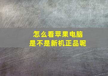 怎么看苹果电脑是不是新机正品呢