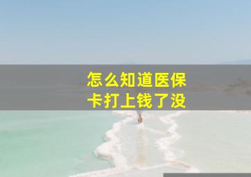 怎么知道医保卡打上钱了没