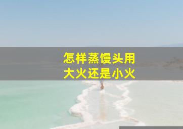 怎样蒸馒头用大火还是小火