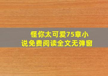 怪你太可爱75章小说免费阅读全文无弹窗