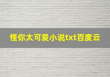 怪你太可爱小说txt百度云