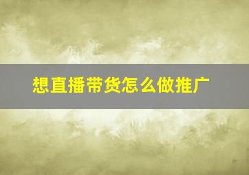 想直播带货怎么做推广