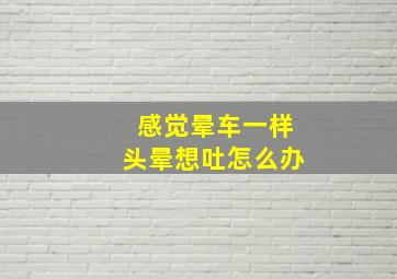 感觉晕车一样头晕想吐怎么办