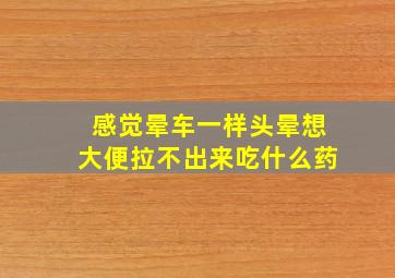 感觉晕车一样头晕想大便拉不出来吃什么药