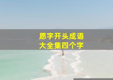 愿字开头成语大全集四个字