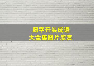 愿字开头成语大全集图片欣赏