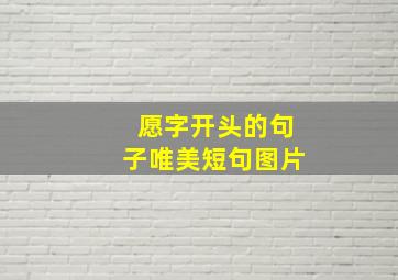 愿字开头的句子唯美短句图片