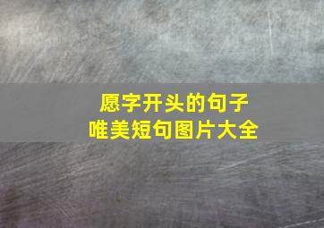 愿字开头的句子唯美短句图片大全