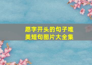 愿字开头的句子唯美短句图片大全集