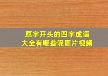 愿字开头的四字成语大全有哪些呢图片视频