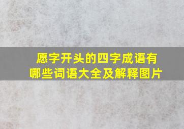 愿字开头的四字成语有哪些词语大全及解释图片