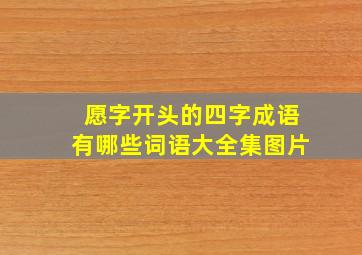 愿字开头的四字成语有哪些词语大全集图片