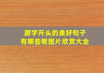 愿字开头的美好句子有哪些呢图片欣赏大全