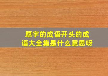 愿字的成语开头的成语大全集是什么意思呀