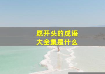 愿开头的成语大全集是什么