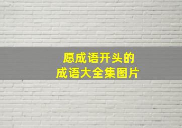 愿成语开头的成语大全集图片