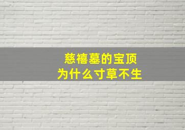 慈禧墓的宝顶为什么寸草不生