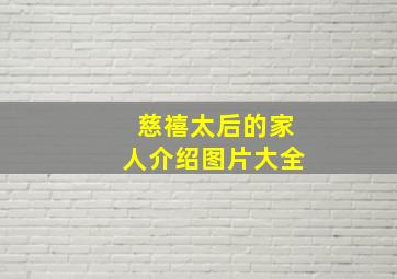 慈禧太后的家人介绍图片大全