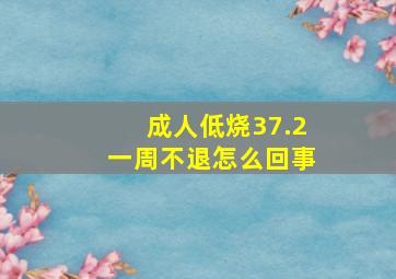 成人低烧37.2一周不退怎么回事