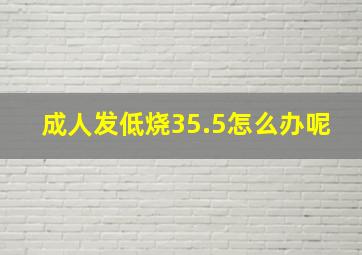 成人发低烧35.5怎么办呢