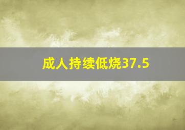 成人持续低烧37.5